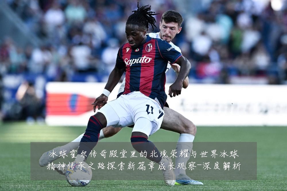冰球霍尔传奇殿堂里的北境荣耀与世界冰球精神传承之路探索新篇章成长观察-深度解析